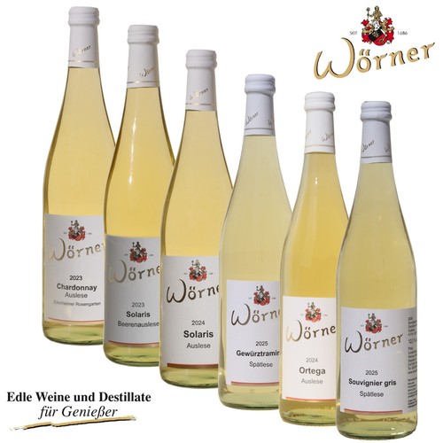 Weingut wörner weinprobe 6 - weingut,